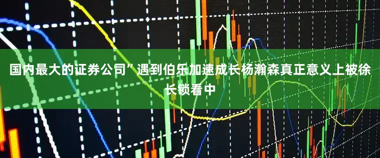 国内最大的证券公司”遇到伯乐加速成长杨瀚森真正意义上被徐长锁看中