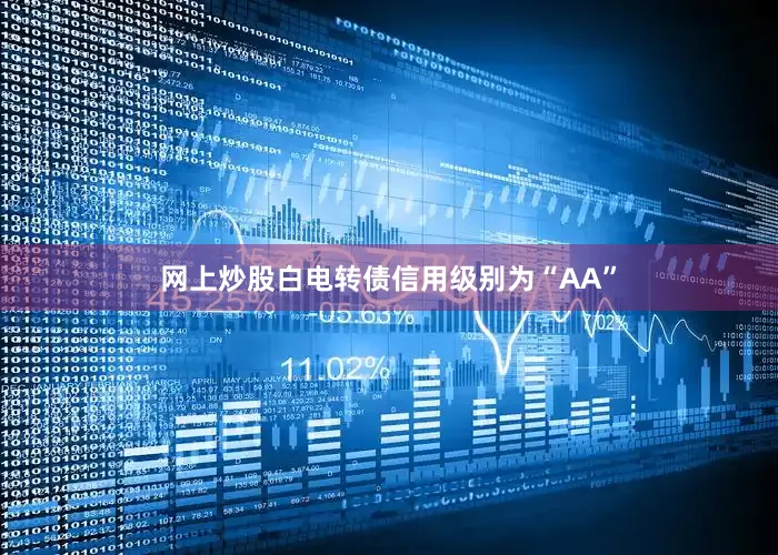 网上炒股白电转债信用级别为“AA”