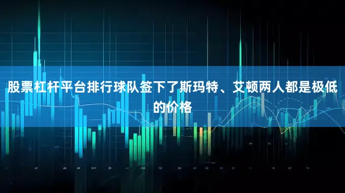 股票杠杆平台排行球队签下了斯玛特、艾顿两人都是极低的价格