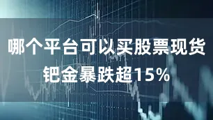 哪个平台可以买股票现货钯金暴跌超15%